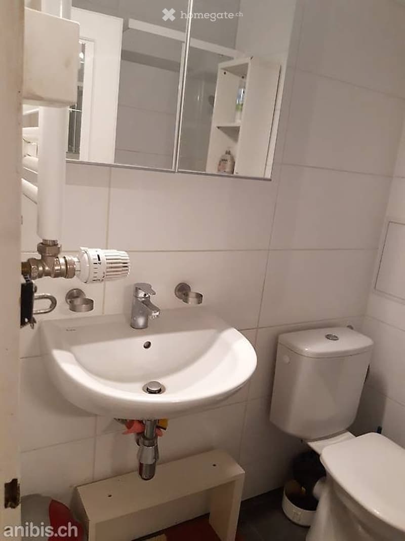 chambre meublée avec terrasse, proche du lac, pour 1 salarié (4)