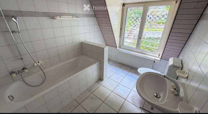 Grand appartement 108m2 rénové (3)