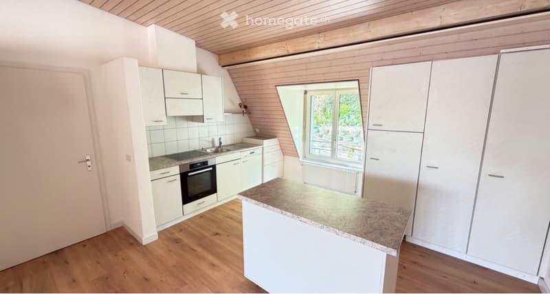 Grand appartement 108m2 rénové (2)