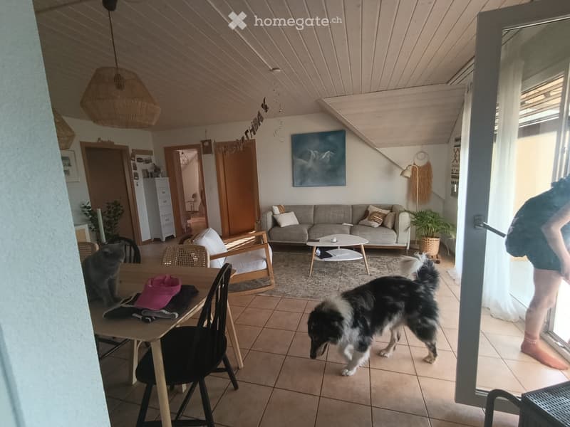 5 pièces à saint aubin (4)