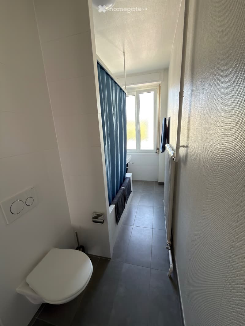 Reprise de bail - charmant appartement à Renens (3)