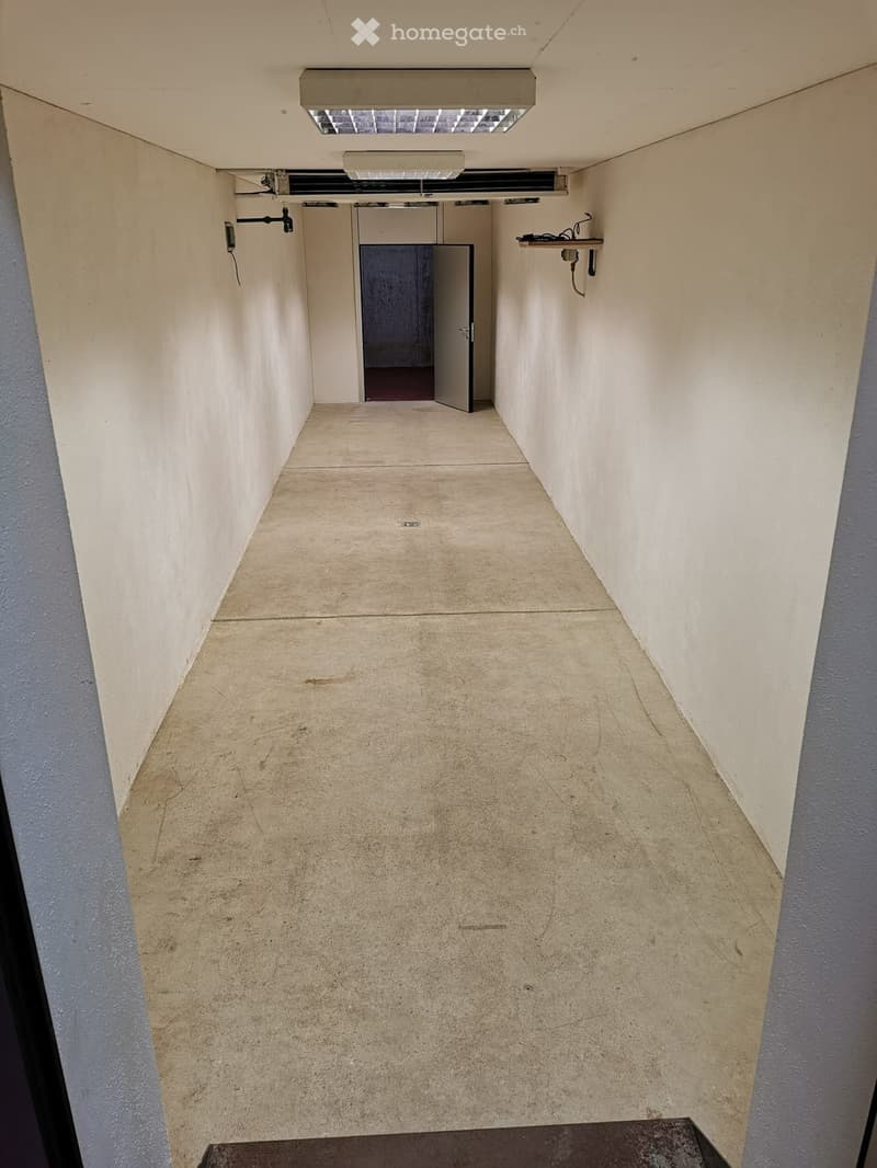 impresa edile, magazzino-ufficio da condividere (4)