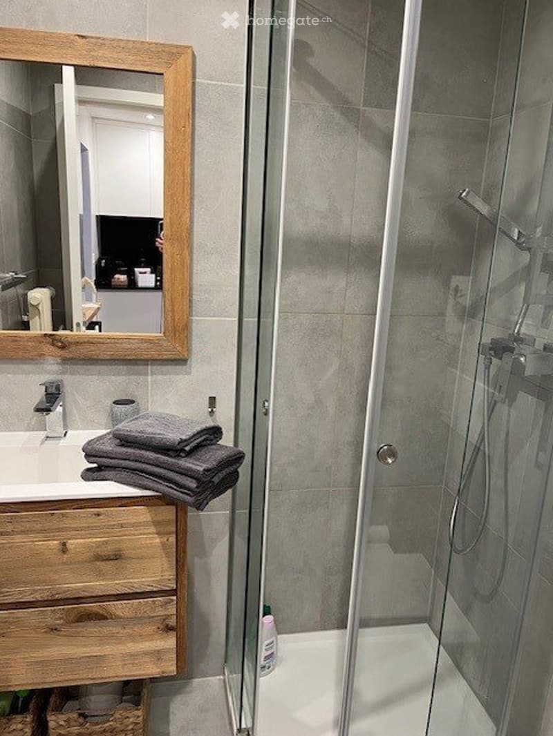Studio à louer à Crans-Montana (5)