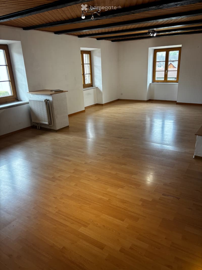 A louer spacieux et lumineux appartement de 3 pièces (4)