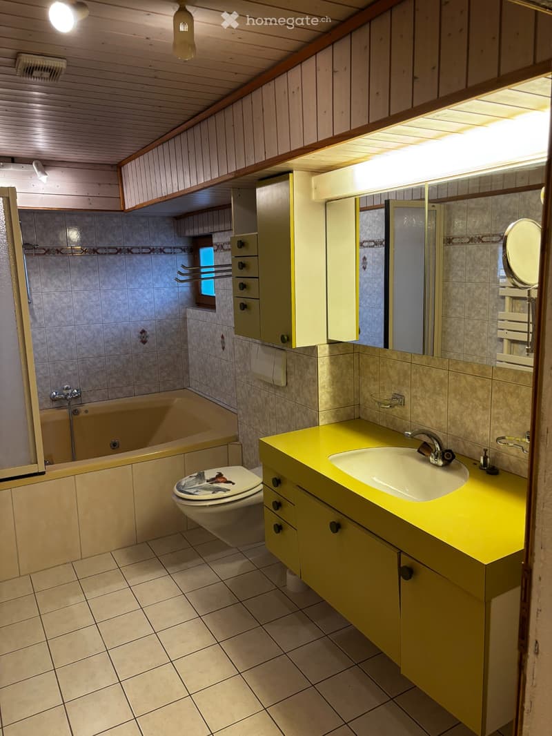 A louer spacieux et lumineux appartement de 3 pièces (5)