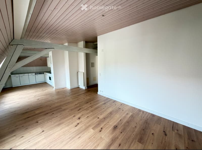 Appartement 3.5 pièces rénové (2)