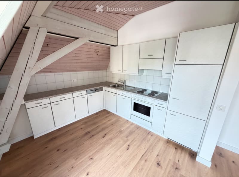 Appartement 3.5 pièces rénové (4)