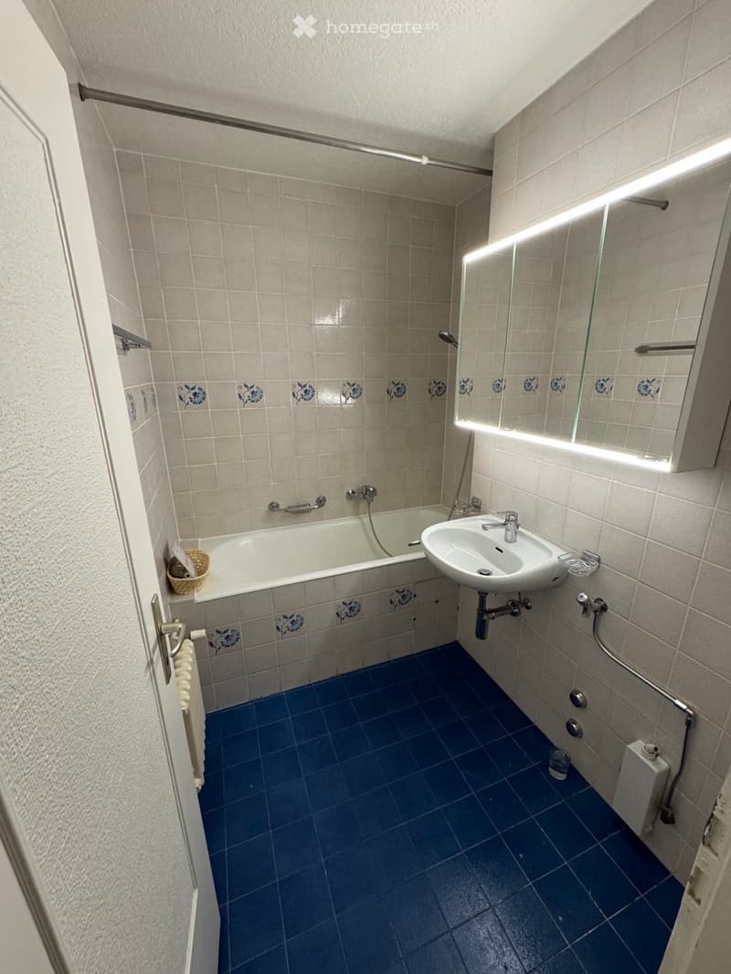 Duplex de 5,5 pièces de 105 m2 à La Croix-de-Rozon (8)