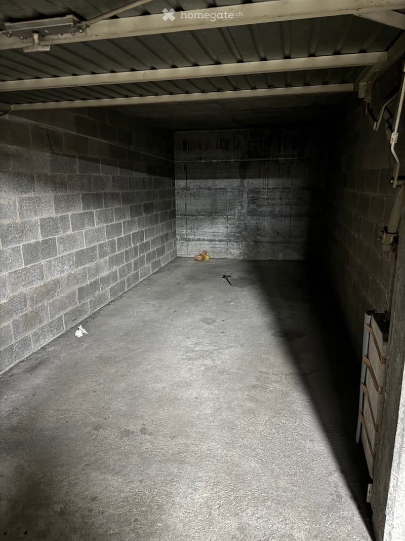 Duplex de 5,5 pièces de 105 m2 à La Croix-de-Rozon (6)