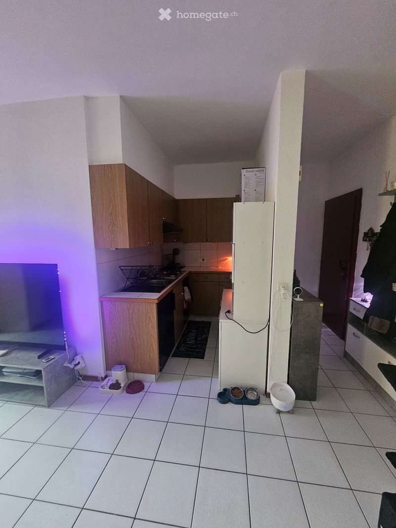 Location appartement 2.5 pièces (2)