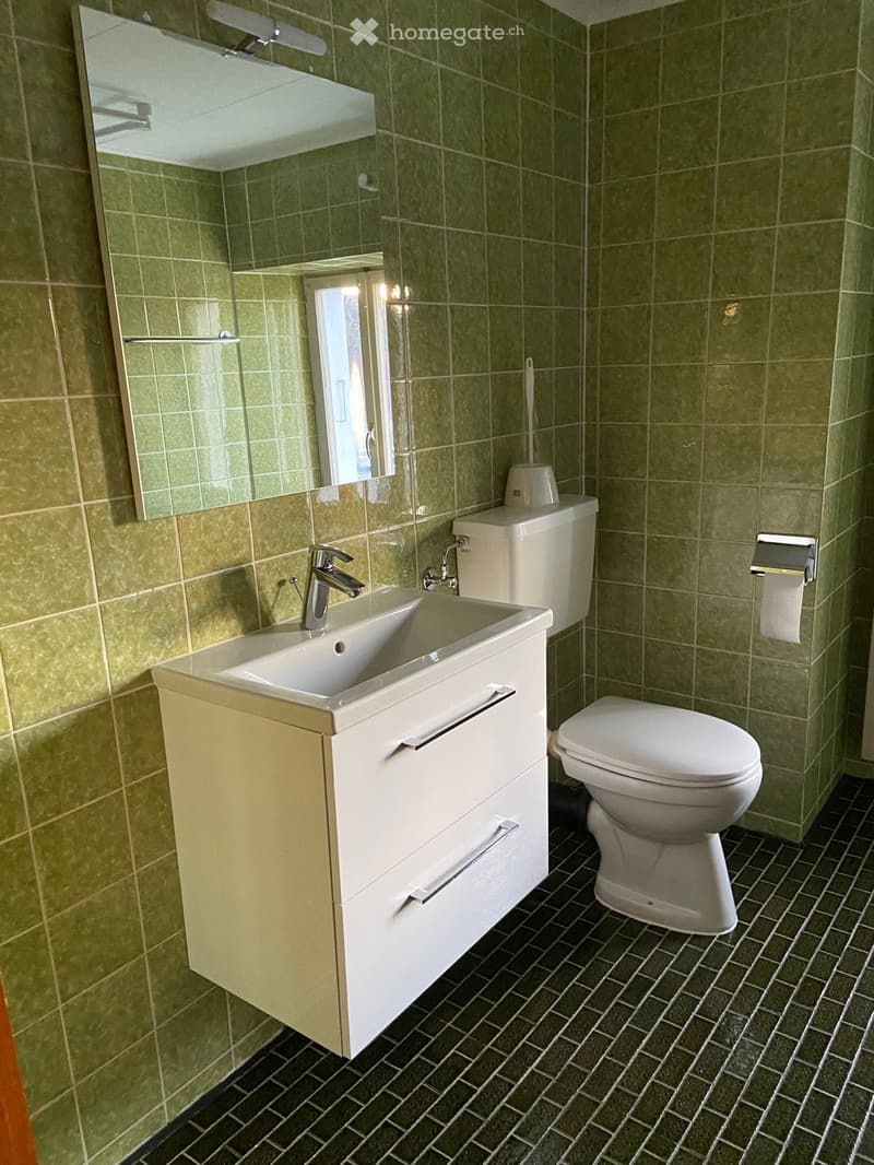 Appartement 4 pièces à louer (3)