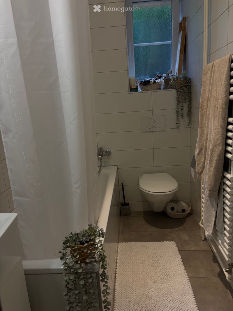 Appartement 4 pièces à remettre pour le 1er juillet 2026 (5)