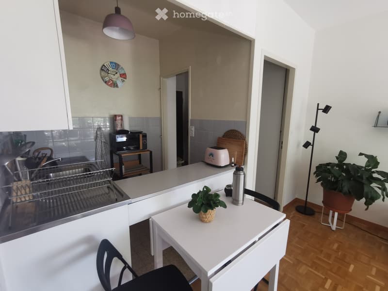 Appartement 1p environ 30 m² grand balcon filant, 6ème étage (4)