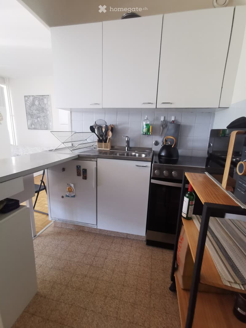 Appartement 1p environ 30 m² grand balcon filant, 6ème étage (5)
