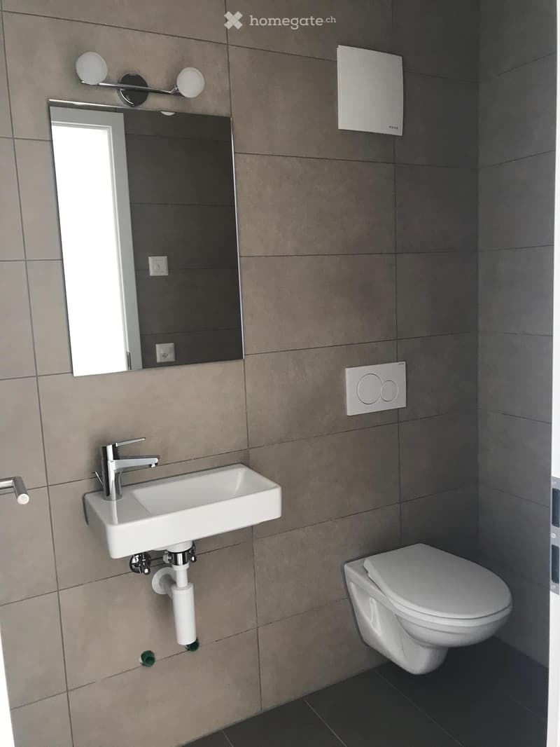 Bel appartement a louer au Bois (5)