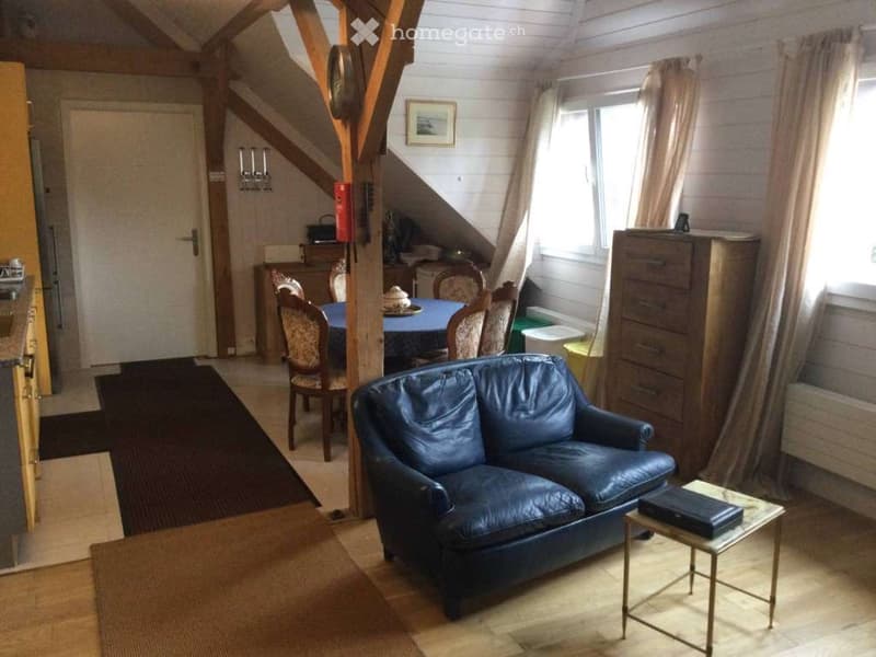 chambre en attique 30m2 colocation (2)