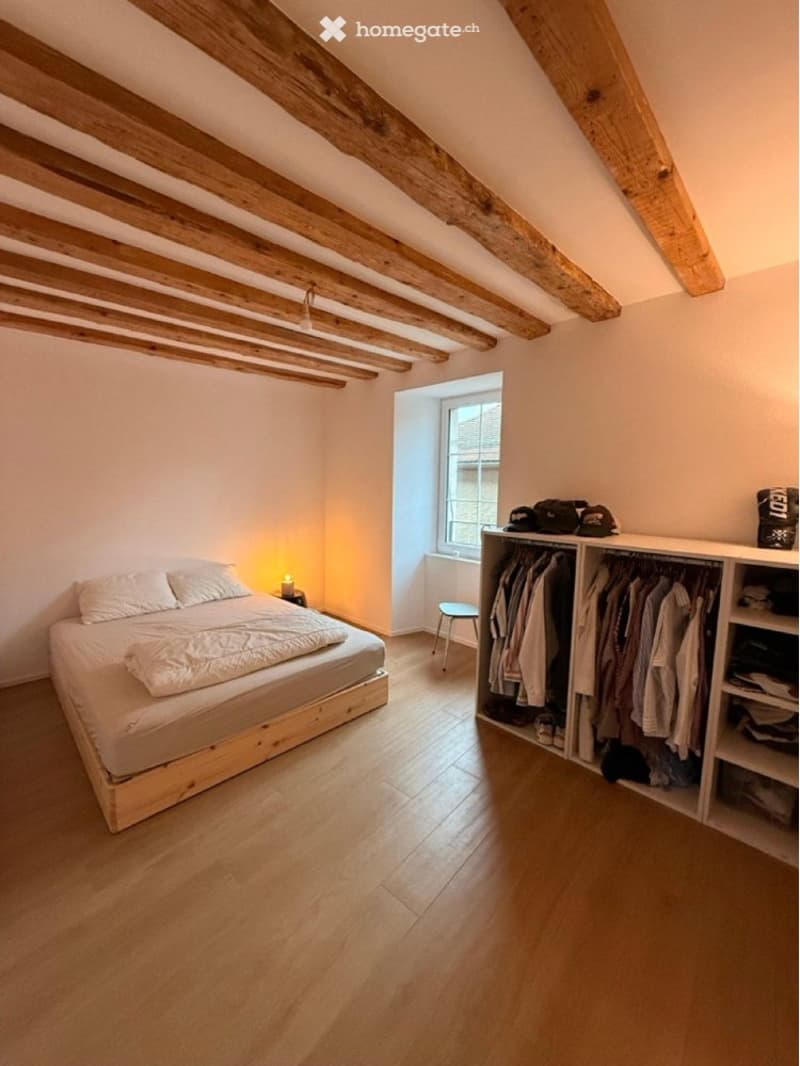 Magnifique appartement de standing de 4,5 pièces (3)