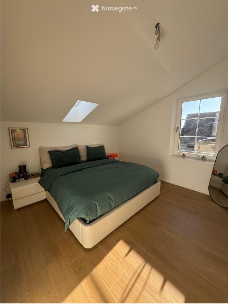 Magnifique appartement de standing de 4,5 pièces (2)