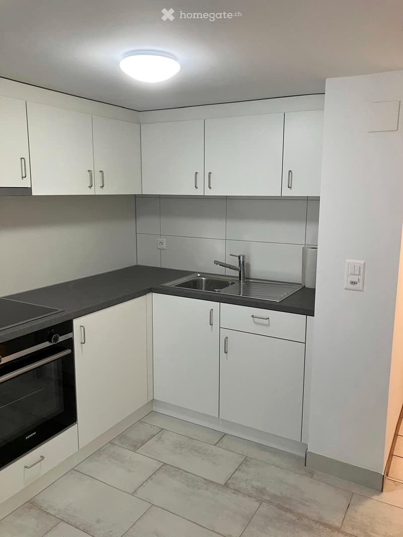 Appartement de 2 pièces rénové au centre ville de Fribourg (5)