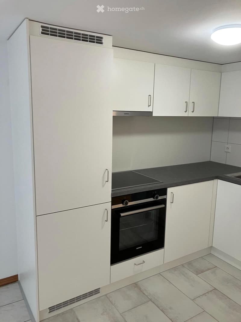 Appartement de 2 pièces rénové au centre ville de Fribourg (4)