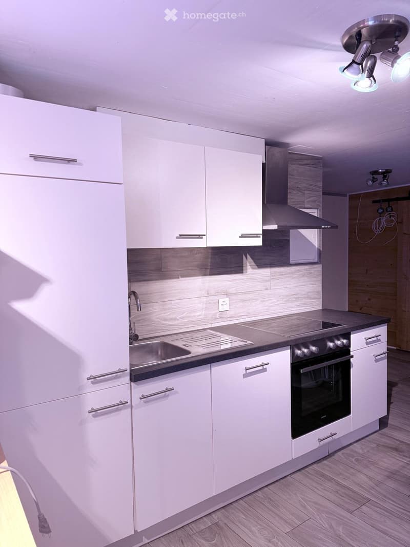 Appartement 1,5 pièce meublé (3)