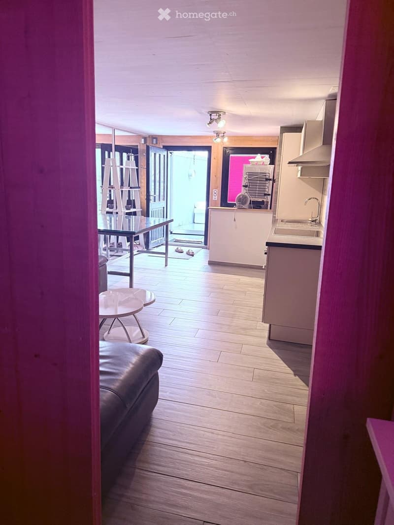 Appartement 1,5 pièce meublé (5)