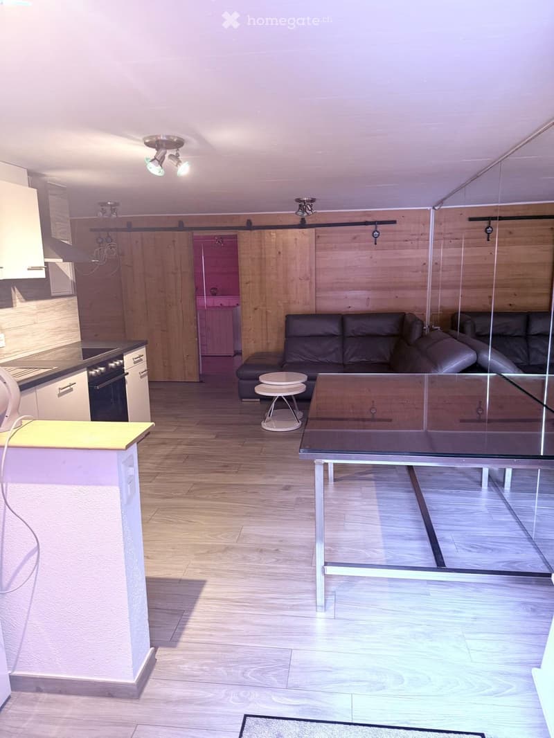 Appartement 1,5 pièce meublé (2)