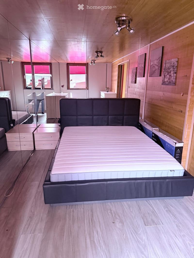 Appartement 1,5 pièce meublé (4)
