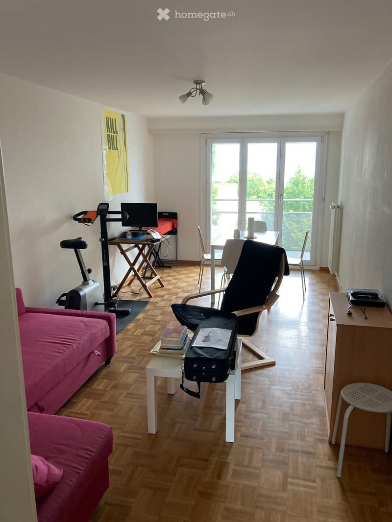 Chambre à Rolle dans bel appartement avec vue sur le Léman (4)