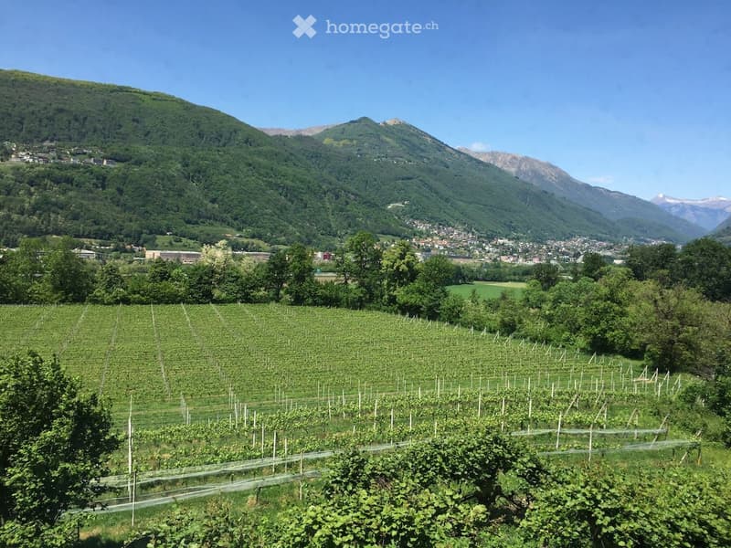 Historic Swiss Country Estate near Lugano, Confidential Sale (4)