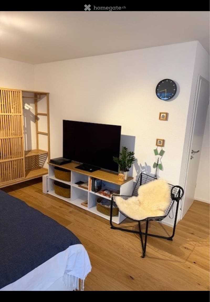 Studio à 3' du lac (2)