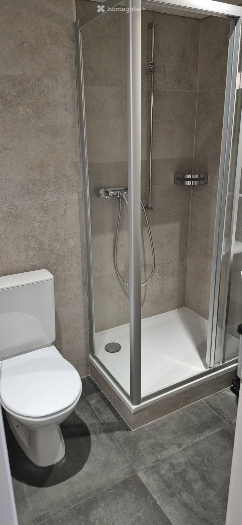 Appartement de 3 pièces au 2ème étage Est (6)