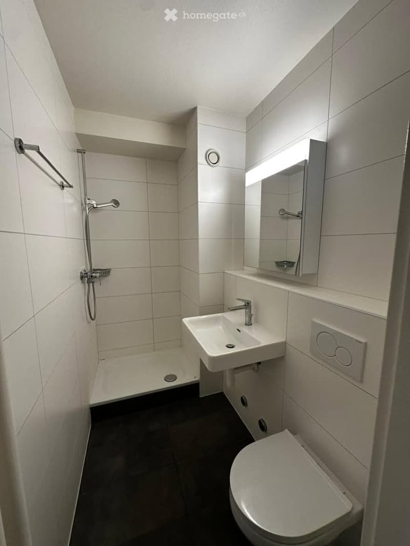 Superbe studio + terrasse a 5 min à pied de la gare de Cully (3)