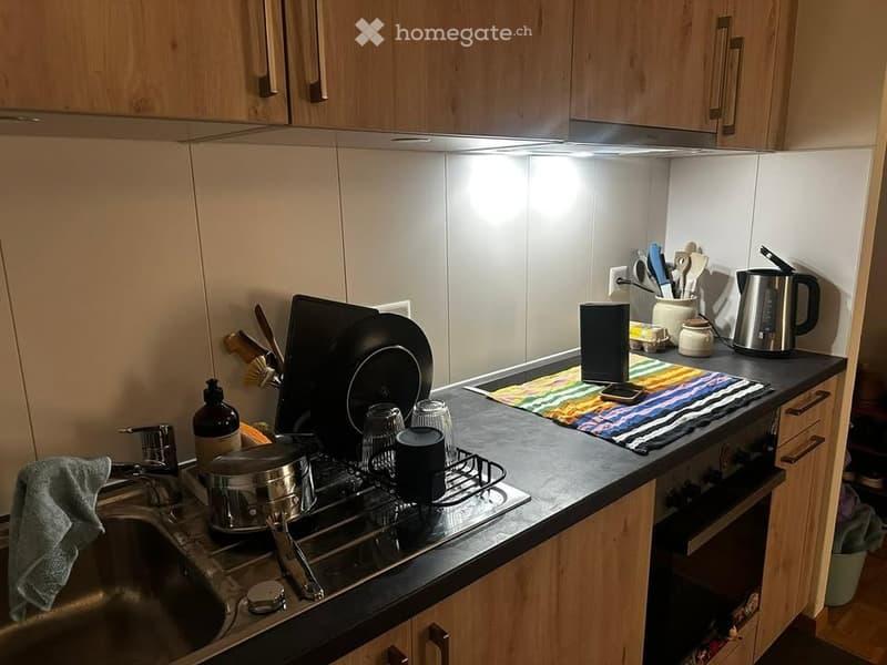 Superbe studio + terrasse a 5 min à pied de la gare de Cully (4)