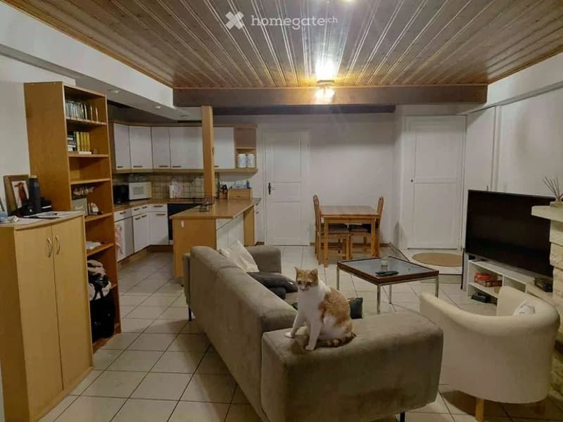 Lausanne Chuv  2  pièces 65 m2 meublé  villa (3)