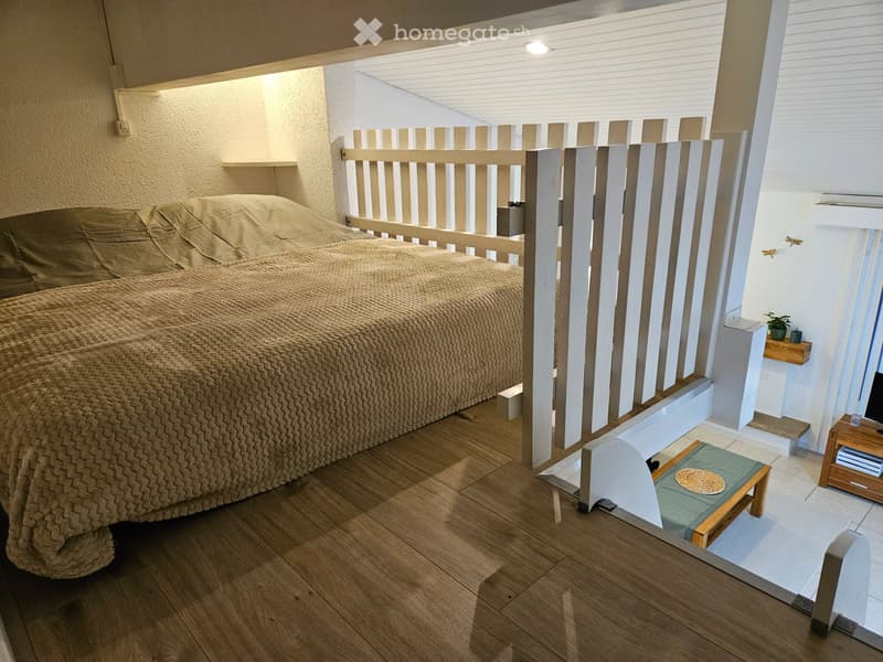 Appartement à Sion meublé de 75m2 avec Veranda et Mezzanine (4)