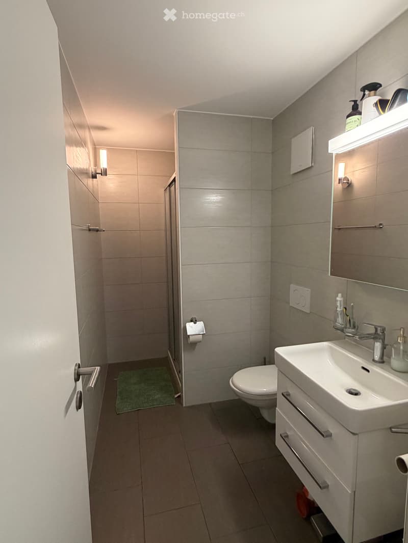 Lumineux 3,5 pièces location (5)