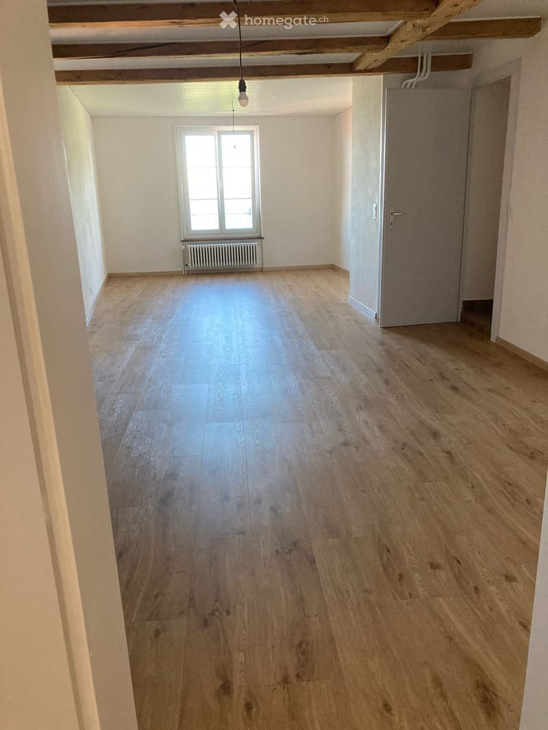 Appartement avec cachet, rénové (4)
