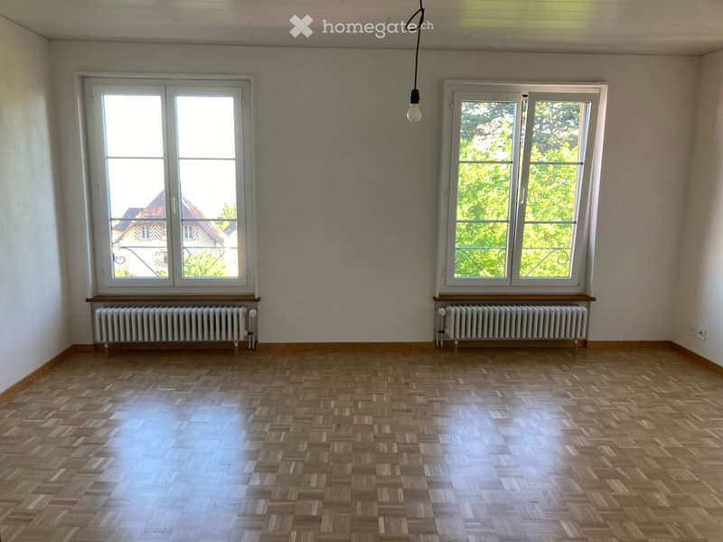 Appartement avec cachet, rénové (5)