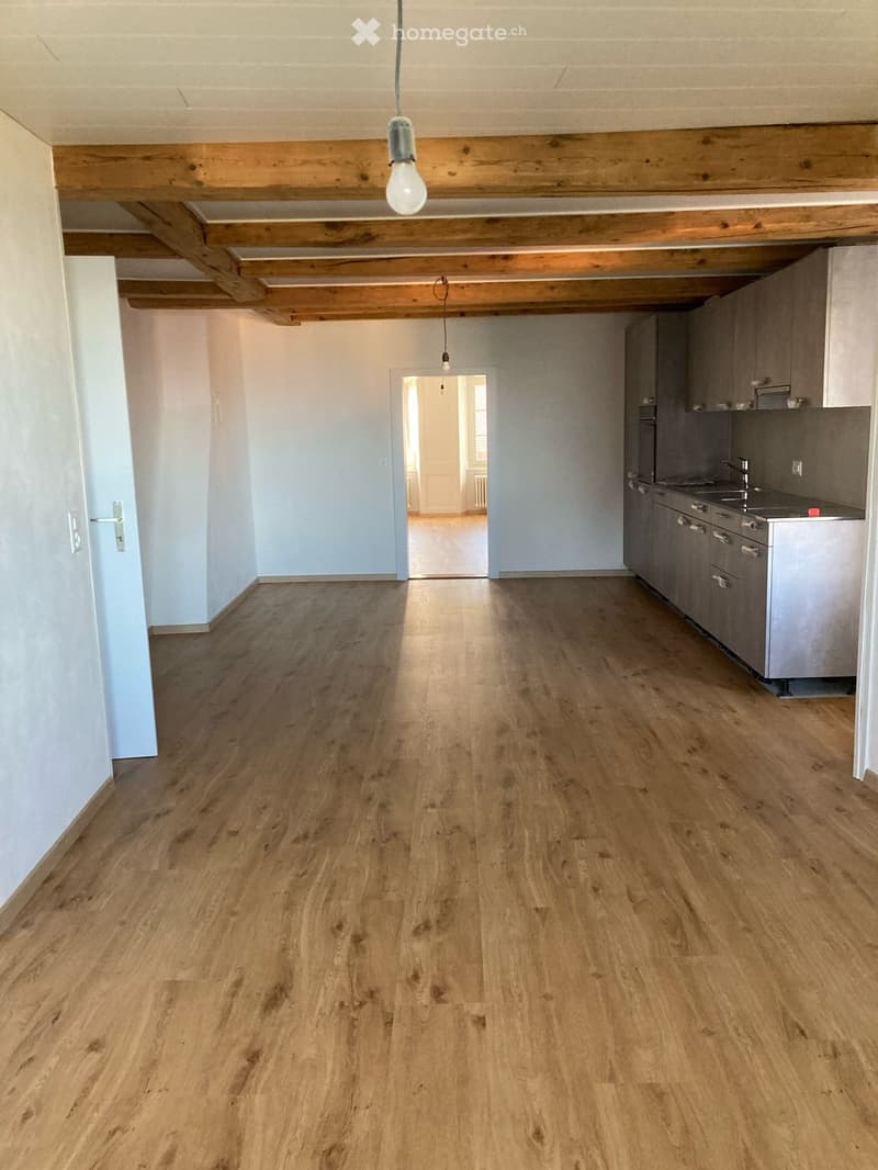 Appartement avec cachet, rénové (3)