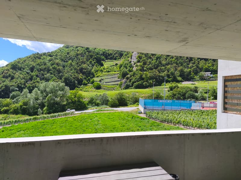 Appartement de 2,5 pièces à louera dès le 1er août 26 (9)