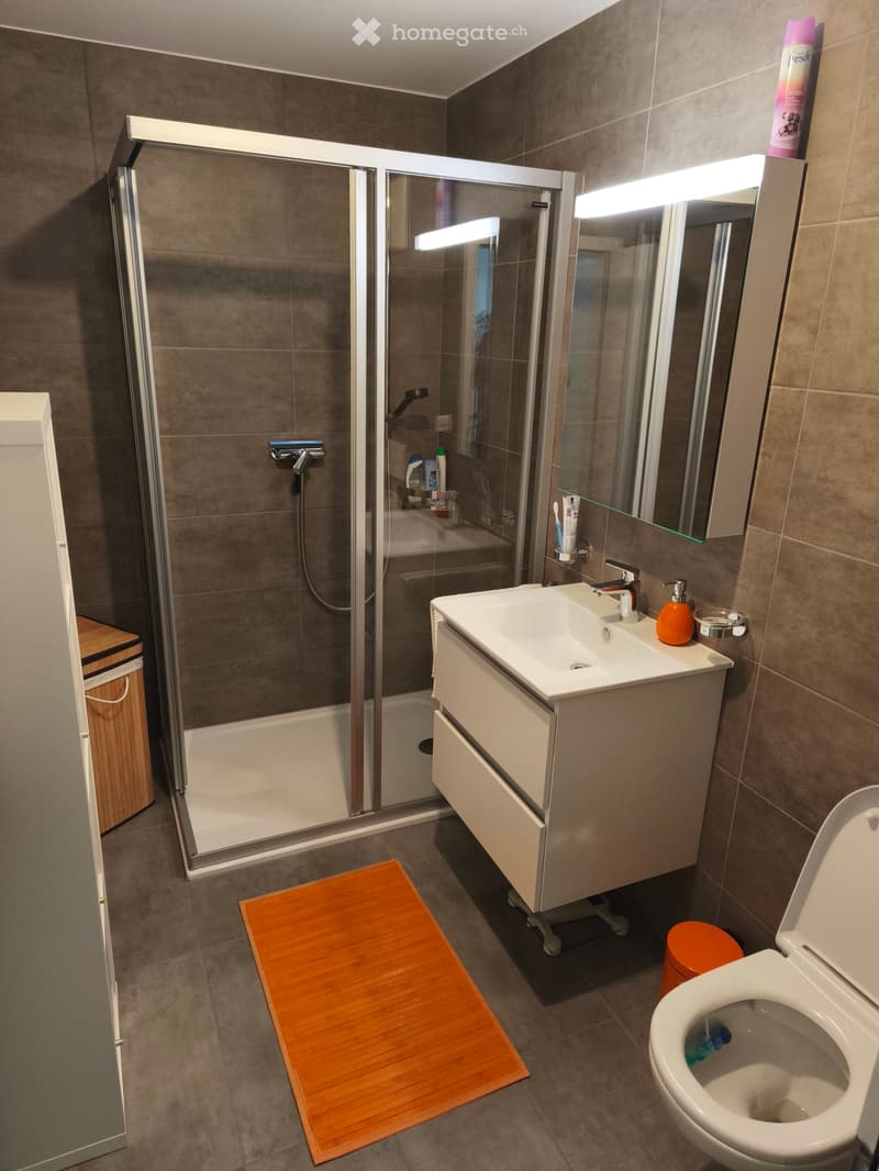 Appartement de 2,5 pièces à louera dès le 1er août 26 (6)