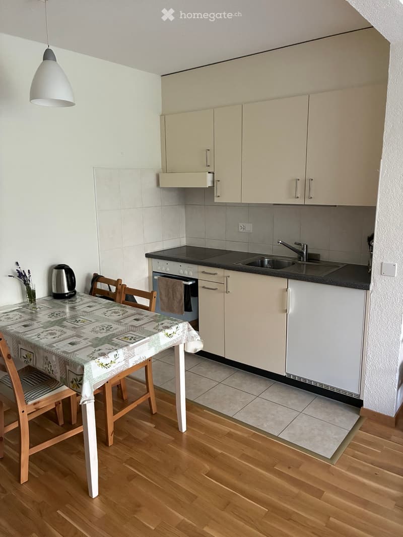 Studio + terrasse à 2 mn de la gare de la Conversion (3)