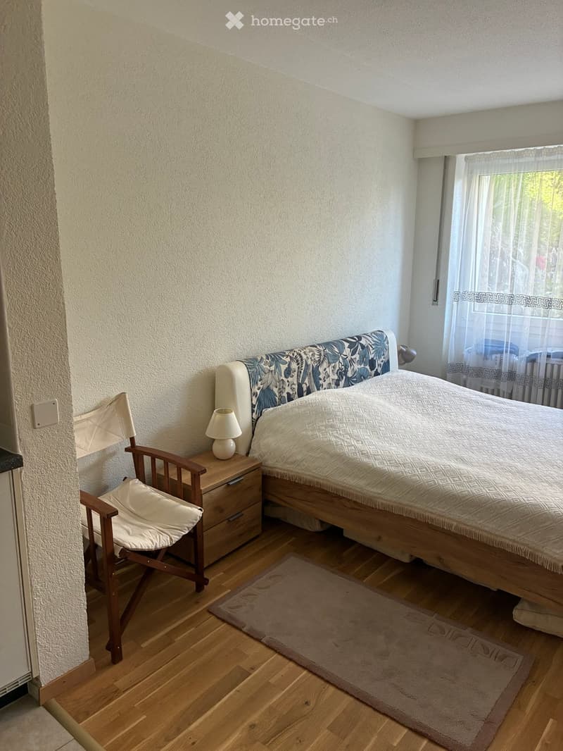 Studio + terrasse à 2 mn de la gare de la Conversion (4)