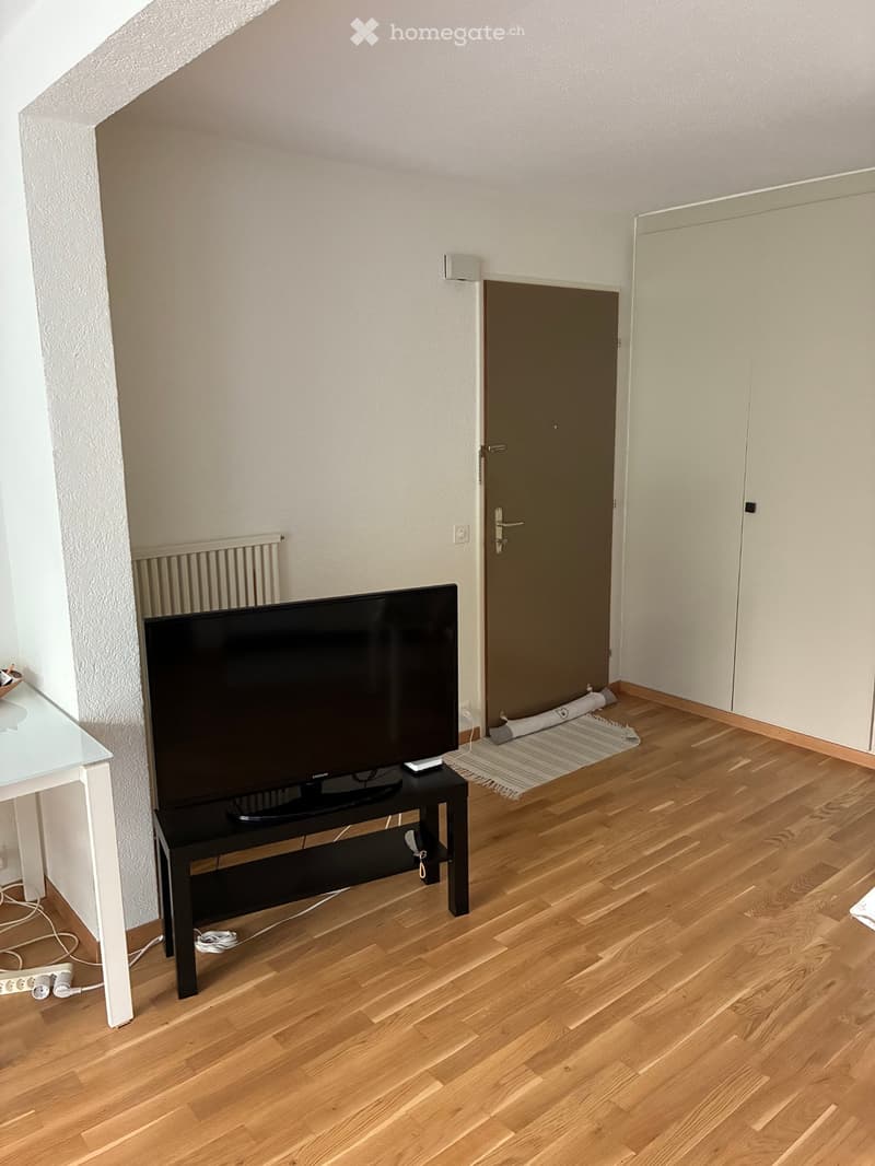 Studio + terrasse à 2 mn de la gare de la Conversion (2)