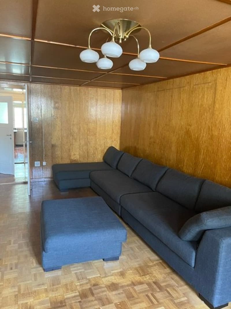 Charmante 4-5 Zimmer-Wohnung im Zentrum von Visp auch als WG (3)