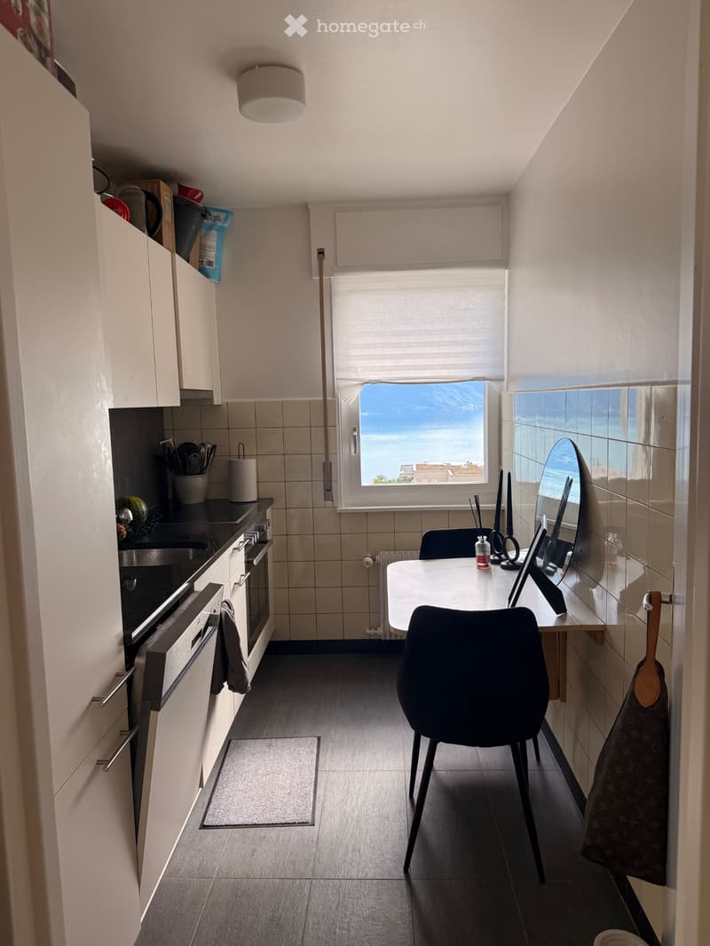 Magnifique appartement 2 pièces avec vue sur le lac (3)