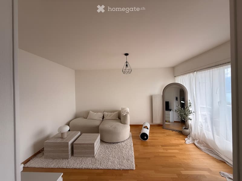 Magnifique appartement 2 pièces avec vue sur le lac (2)