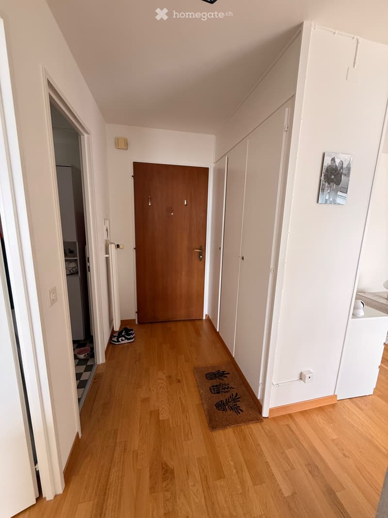 Magnifique appartement 2 pièces avec vue sur le lac (5)