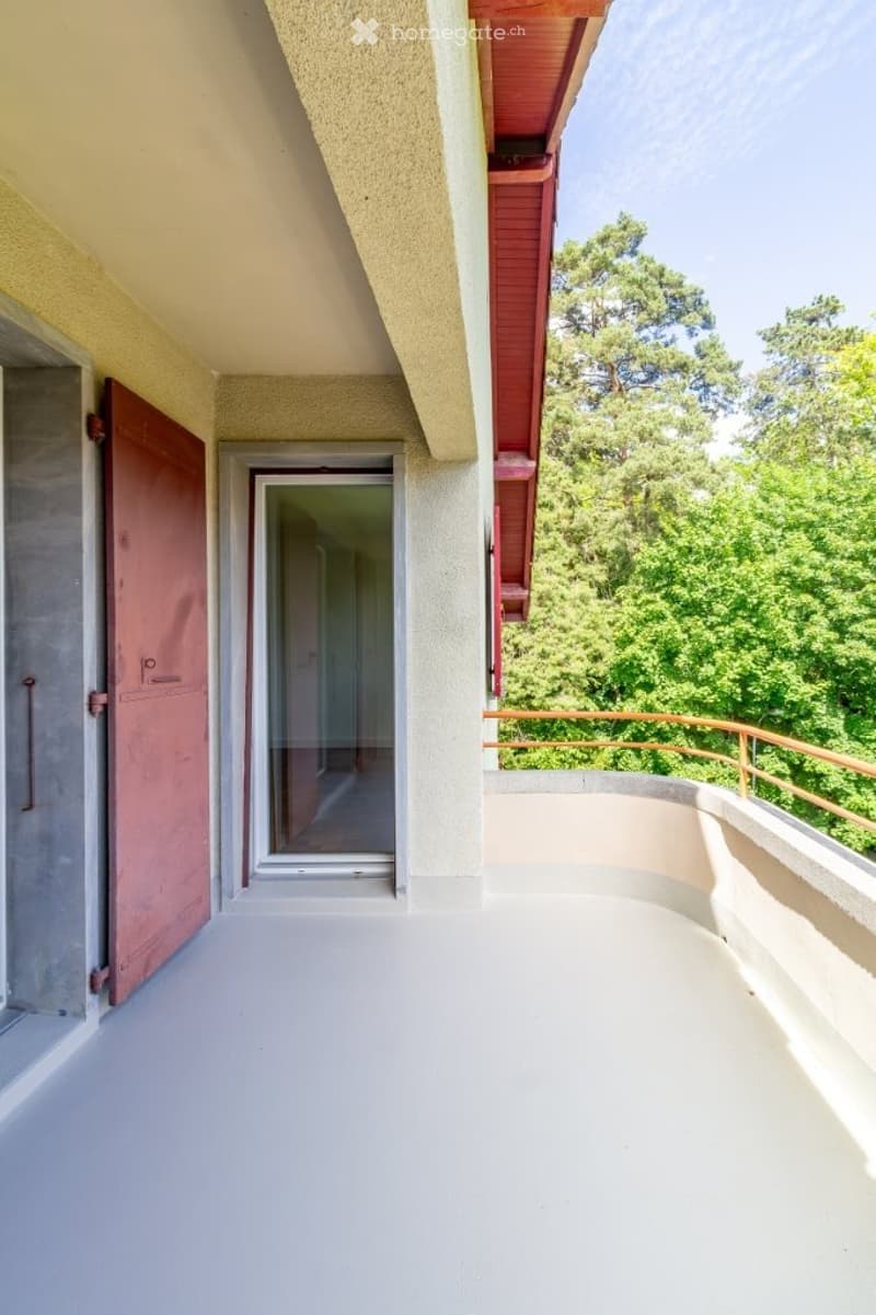 Joli Appartement de 3,5 pièces fraichement rénové (4)
